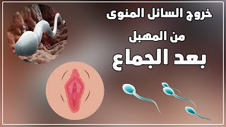 اسباب خروج السائل المنوي من المهبل  بعد الجماع