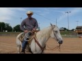 the horse bit by cowboy preacher jason taylor