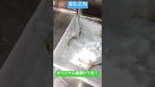 フグがただ回るだけの動画