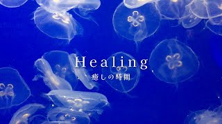 【528Hz】癒し動画　ゆらゆらと漂うくらげと癒しの音楽 healing relaxing relax jellyfish healingmusic