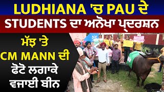 Ludhiana 'ਚ PAU ਦੇ Students ਦਾ ਅਨੋਖਾ ਪ੍ਰਦਰਸ਼ਨ, ਮੱਝ 'ਤੇ CM Mann ਦੀ ਫੋਟੋ ਲਗਾਕੇ ਵਜਾਈ ਬੀਨ