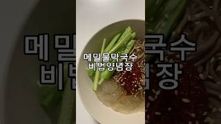 양념장이 진짜 맛있는 물막국수