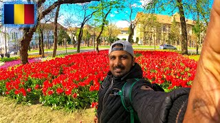 Flowers And Spring Time In Romania වසන්තයට රොමේනියාවේ පිපෙන මල් #flowers #spring #romania #dulaj