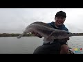 ฝนตก..ชะโดโหด giant snakehead topwater explosion