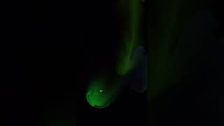 Smoke Cursor Effect using HTML CSS JS | #coding #viral #trending #design #929 #css #code #viral