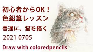 色鉛筆画レッスン】描き始めに基本色を見つけて、普通に猫を描きます