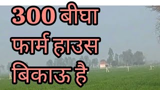 300 बीघा फार्म हाउस बिकाऊ है | UP Badaun | Real Estate/Property