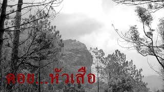 ดอยหัวเสือ [ทุ่งหญ้าสีทองบนเขา]