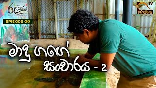 මාදු ගඟේ සංචාරය - 02 I Madu Ganga I Ru piyapath I Travel I 2021.12.12