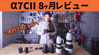 ソニーα7CIIを8ヶ月使った感想を正直に話します