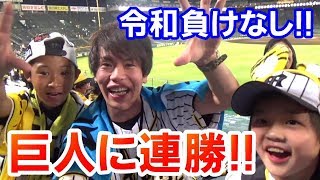 阪神マジ強い！大山の3ランホームランで巨人を粉砕！高橋遥人ナイスピッチング！巨人に4連勝や！