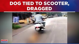 Shocking Animal Cruelty In Udupi: Man Ties Dog To His Scooter, Drags Him For Over 1 Kilometre| WATCH