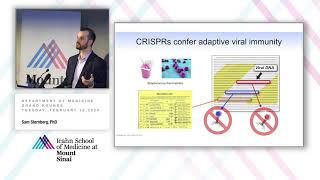 Genome Engineering Using CRISPR Technology