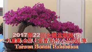 (4K) 2017第22回臺灣全國盆栽展(5) Taiwan Bonsai Exhibition.九重葛.縮緬葛.七里香.毛朴.石朴.金柳.象牙樹.小品成組等作品.4K Ultra HD