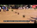 karnataka floods river breaches bridge in nattigere