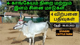 4-விற்பனை பதிவுகள்.4-காங்கேயம் நிறை மற்றும் இளம் சினை மாடுகள்.