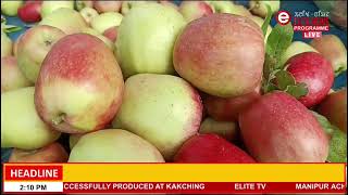 Kakching Mamang Ching Laipham Loknungda organic oiba sem Apple) mai pakna puthokpa ngamle