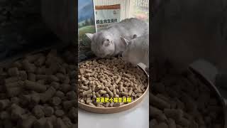 猫咪狗狗都爱吃的生骨肉冻干，能拍到就闭眼冲，毕竟这样的羊毛可不多！萌宠好物 新手养猫 养猫省钱妙招 科学养宠攻略 猫零食