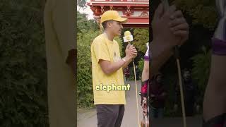 Choosing Elephant Names Is Hard #short #shorts #shortsvideo