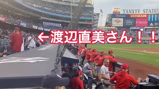 大谷翔平\u0026渡辺直美⚾️@ヤンキースタジアム  2021.8.16（ショート動画）