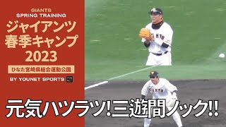 【巧い！】坂本勇人・松田宣浩・岡本和真他の内野ノック（宮崎キャンプ2023）