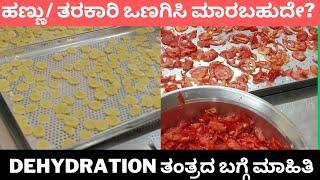 Dehydration of fruits and vegetables in Kannada | ಹಣ್ಣು ಮತ್ತು ತರಕಾರಿ ಒಣಗಿಸಿ ಮಾರಬಹುದೆ?