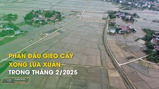 Phấn đấu gieo cấy xong lúa xuân trong tháng 2/2025 | Thái Nguyên TV