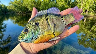 Fishing With The World’s Most Realistic Lure!