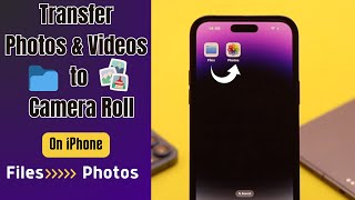 Move Photos and videos from Files App to iPhone/iPad Gallery! (How To)