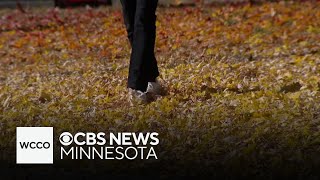Minnesota DNR predicts vibrant fall foliage