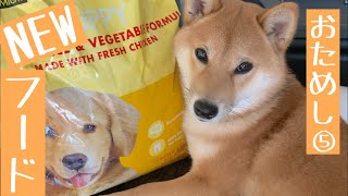 【柴犬】食べると〇〇〇が激増すると噂のコストコ「スーパープレミアムドッグフード」ためしてみた。