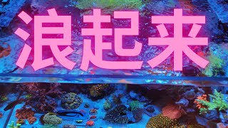 海缸最重要的元素之一【造浪！】