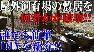 アルダブラゾウガメとケヅメリクガメの飼育環境である屋外飼育場の敷居が何者かに破壊されました!!  誰でも簡単DIYを紹介‼Aldabra giant tortoise