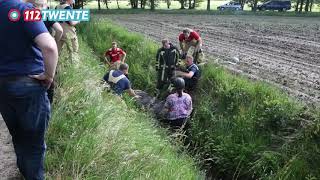 112Twente.nl - Paard gered uit sloot in Enschede 30-05-2020