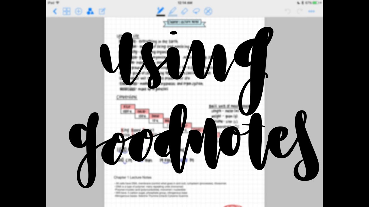 Using Goodnotes Jimmystudies Youtube