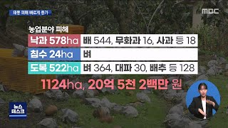 '태풍 힌남노' 피해..하루 만에 40억 원 육박[목포MBC 뉴스데스크]