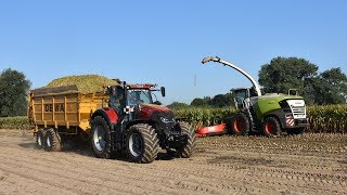 Claas Jaguar 960-type 498 - Wilvagro bvba - mais hakselen