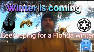 How To Get Ready For A Florida Winter Of Beekeeping And Hive Prep