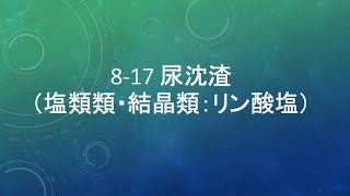 8-17 尿沈渣（塩類類・結晶類：リン酸塩）