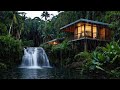 🌧Rainforest Rain Sounds For Sleeping or Studying, waterfall sounds for sleep or focus - 12 hours