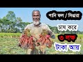 পতিত ডোবা জমিতে পানি ফল / সিঙারা চাষ করে, ৩ লক্ষ টাকা আয় water chestnuts in BD পর্ব ৩৯- কৃষি বিচিত্র