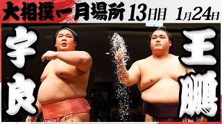 大相撲　宇良ー王鵬　＜令和7年一月場所・13日目＞SUMO