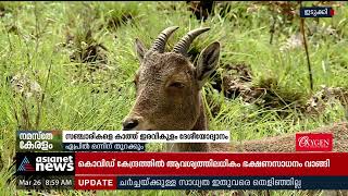 സഞ്ചാരികളെ കാത്ത് ഇരവികുളം ദേശീയോദ്യാനം | Eravikulam National Park