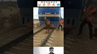Camel on Railway Track 😲🤯 #respect #shorts #viral #trending