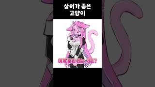 상어가 되고싶은 고양이 (feat.퍼리)