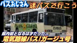 【迷バスで行こう①】【祝】那覇バス・電気バス導入！しかし、その裏で。。。「ガージュ号」の歴史【沖縄の路線バス】