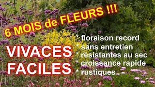 VIVACES FACILES à TRES LONGUE FLORAISON : 5 super plantes !