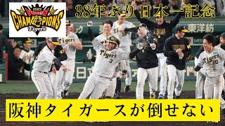 【日本一記念】阪神タイガースが倒せない