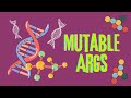 How to work with mutable default arguments in Python and should you do it at all
