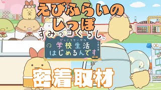 【65】えびふらいのしっぽに密着しました【すみっこぐらし学校生活はじめるんです】